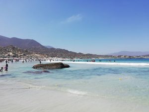 Playa Totoralillo desde Coquimbo: cómo llegar y qué hacer