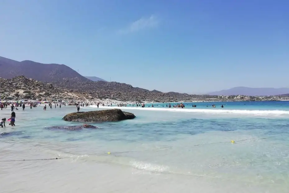 Playa Totoralillo en verano.