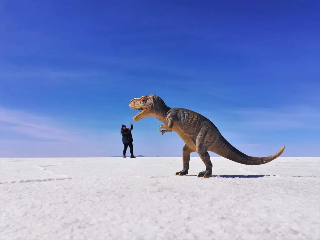 Foto de perspectiva con un dinosaurio en Uyuni.