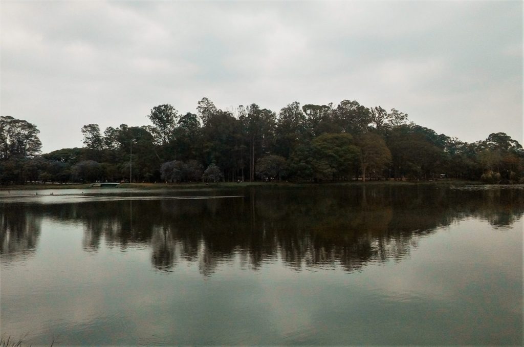 Parque de Ibirapuera, uno de los imperdibles de Sao Paulo.