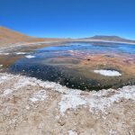Ruta de los Salares en San Pedro de Atacama.
