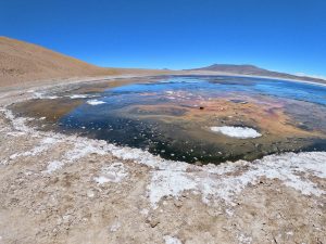 La Ruta de los Salares en San Pedro de Atacama
