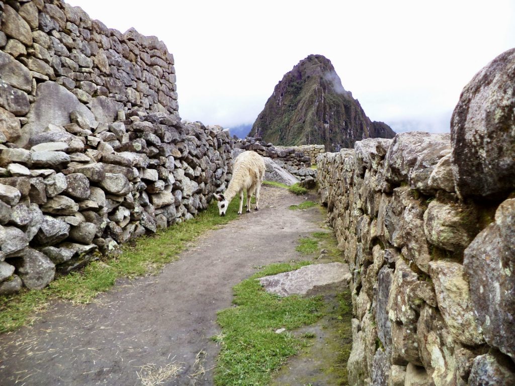 Cómo ir de Uyuni a Machu Picchu.