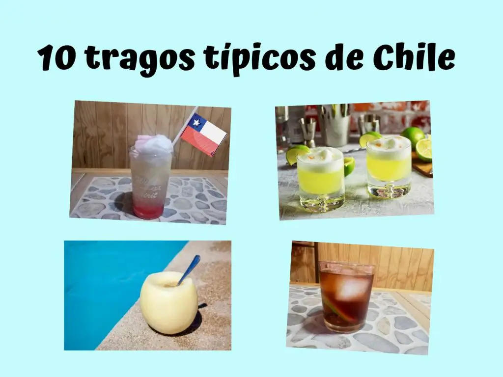 Tragos típicos de Chile que tienes que probar.
