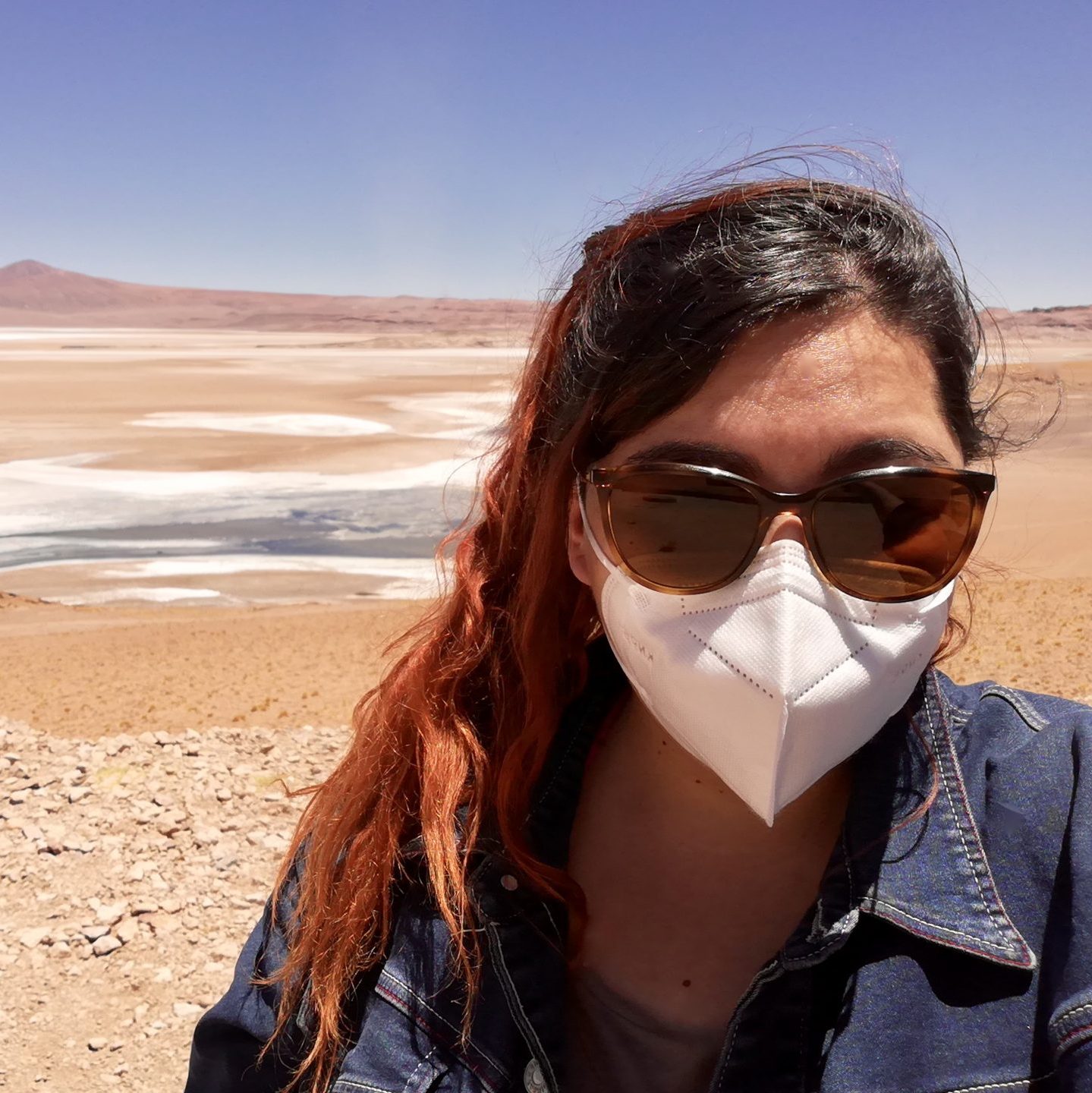 Viajar a San Pedro de Atacama en pandemia.