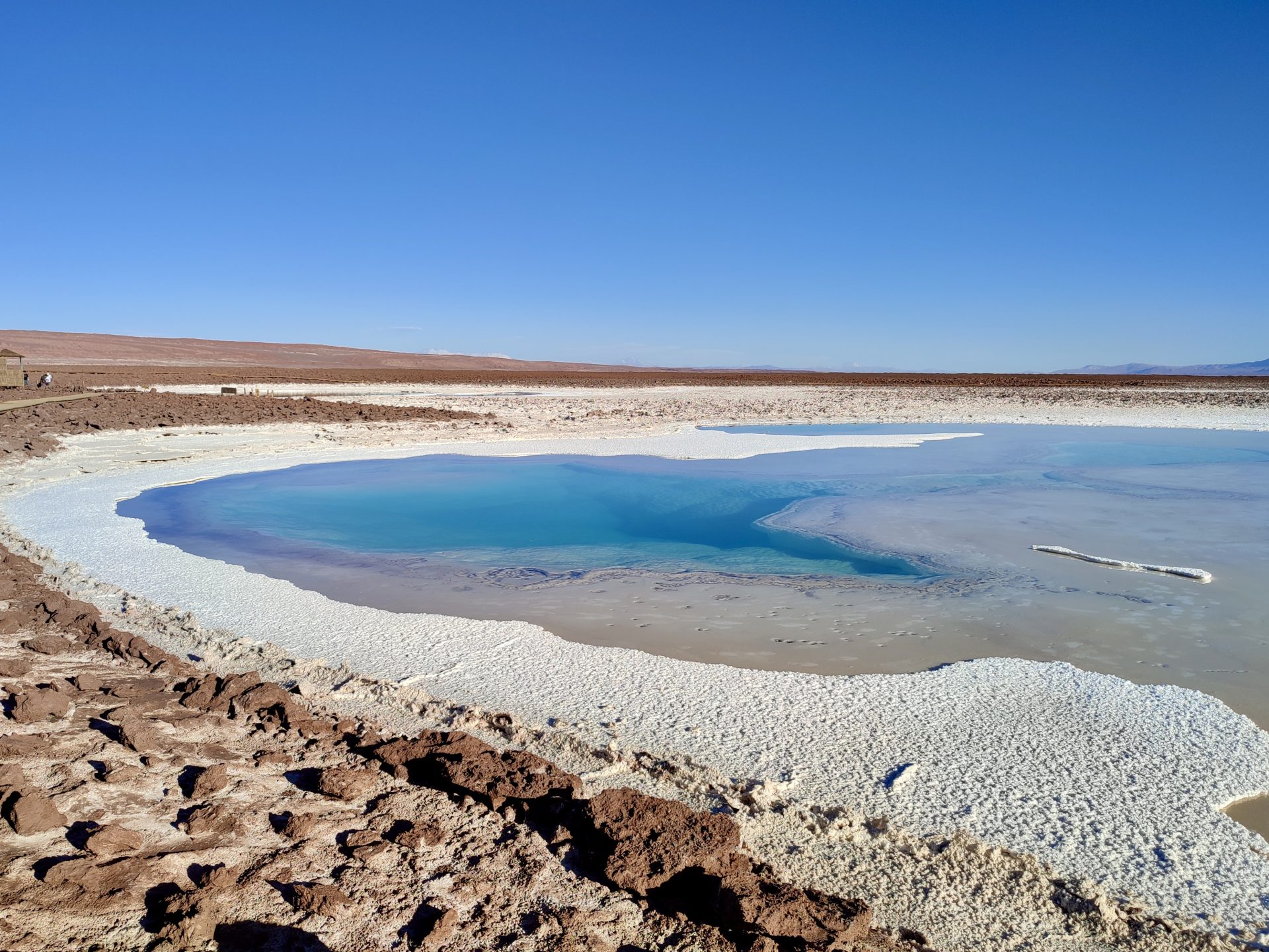 Cómo visitar las Lagunas de Baltinache en San Pedro de Atacama