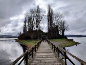 Isla Aucar en Chiloé: cómo llegar y qué ver