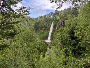 Cascada de Tocoihue desde Castro: cómo llegar y qué ver