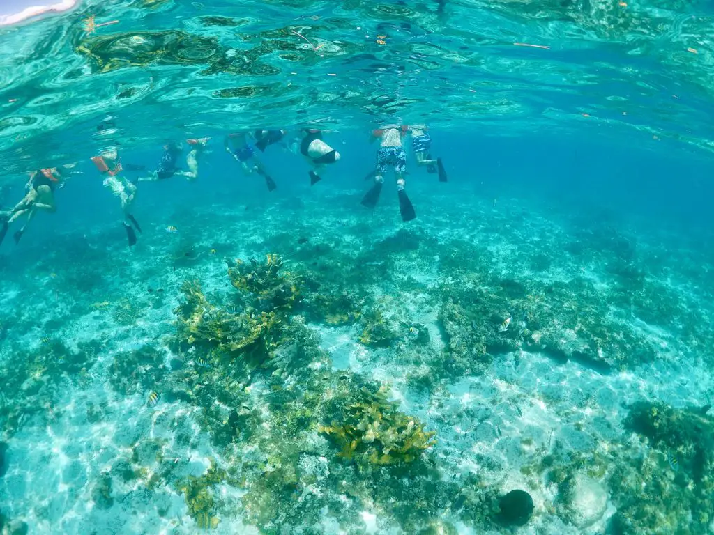 Snorkel en el Arrecife Mesoamericano, México.