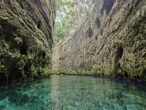 Guía para visitar Xcaret en 2024: qué incluye y cómo recorrerlo