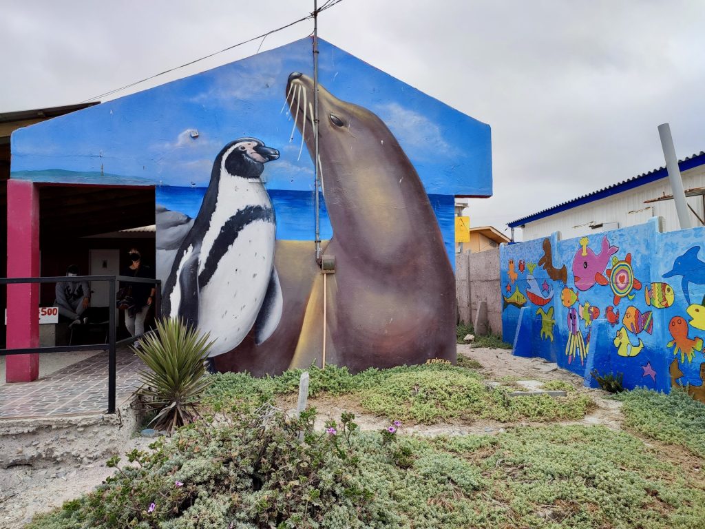 Arte urbano en Punta de Choros.
