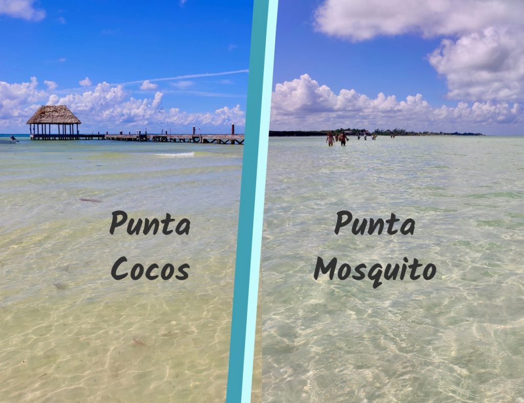 Punta Cocos o Punta Mosquito.