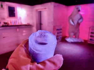 Cómo es el Icebar de Puerto Iguazú (con fotos)