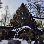 Tour a Huilo Huilo desde Pucón.