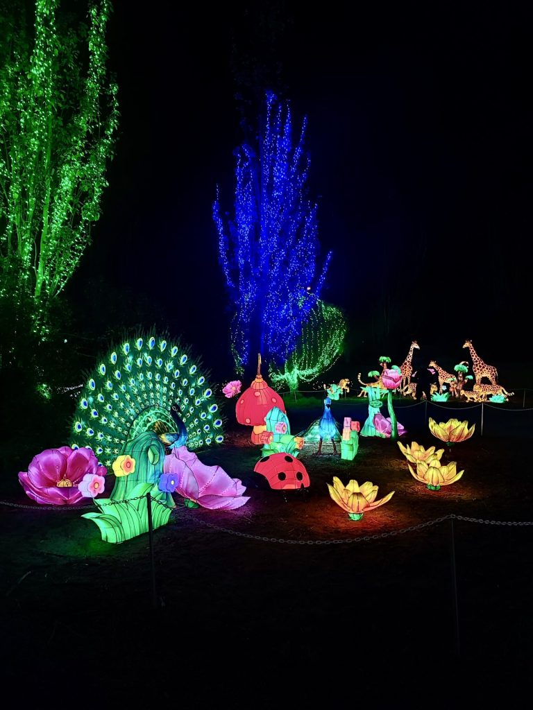 Festival de luces chinas Chile.