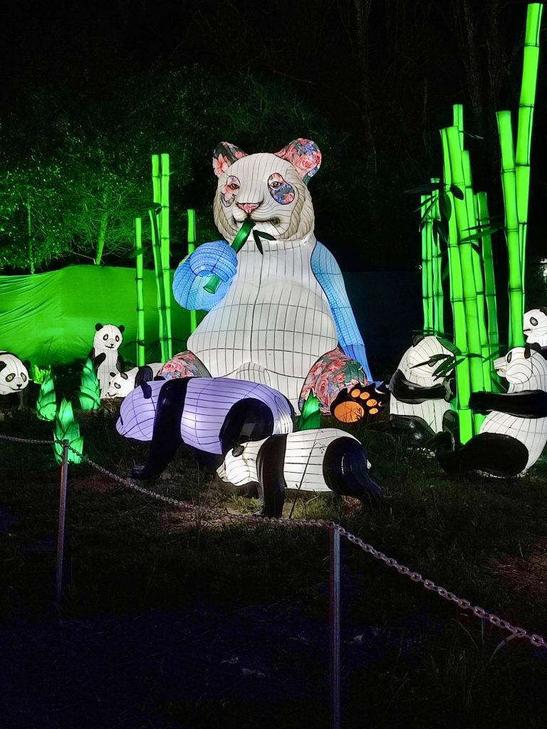 Figuras de luces chinas Coquimbo.