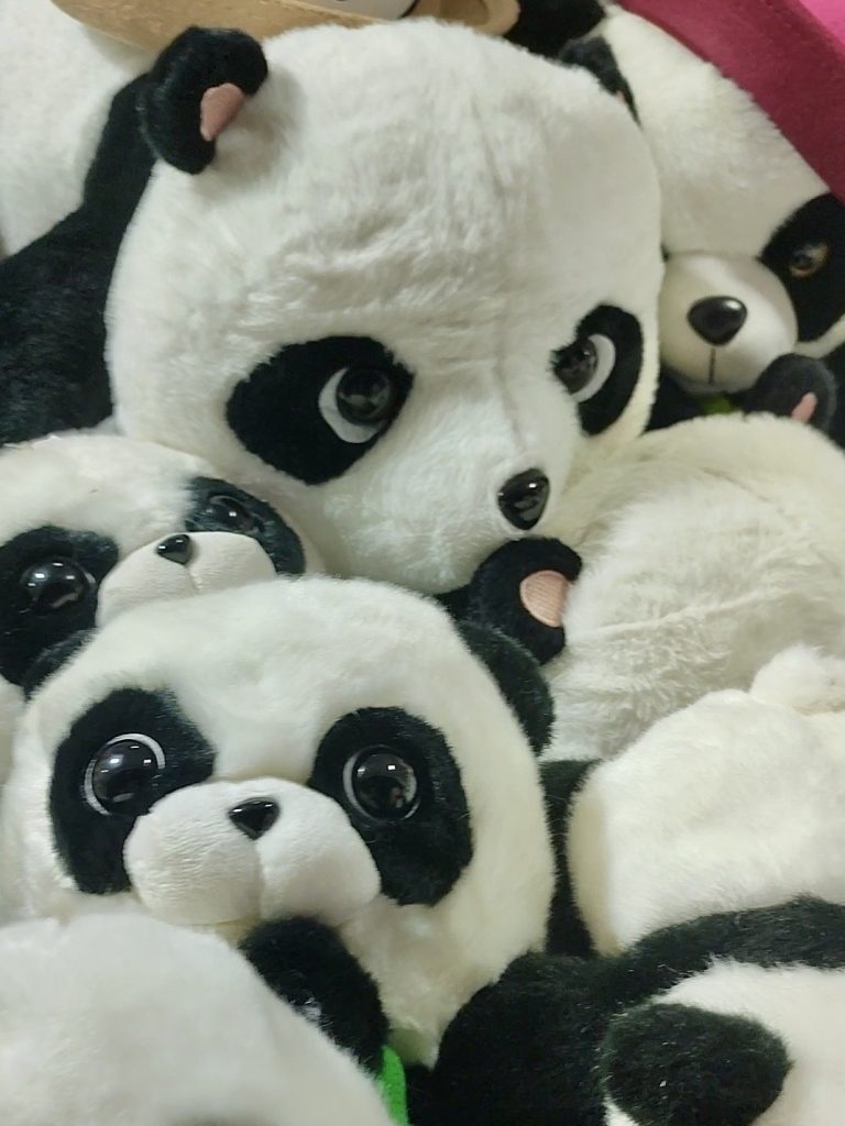 Recuerdos Festival Tianfu Coquimbo.