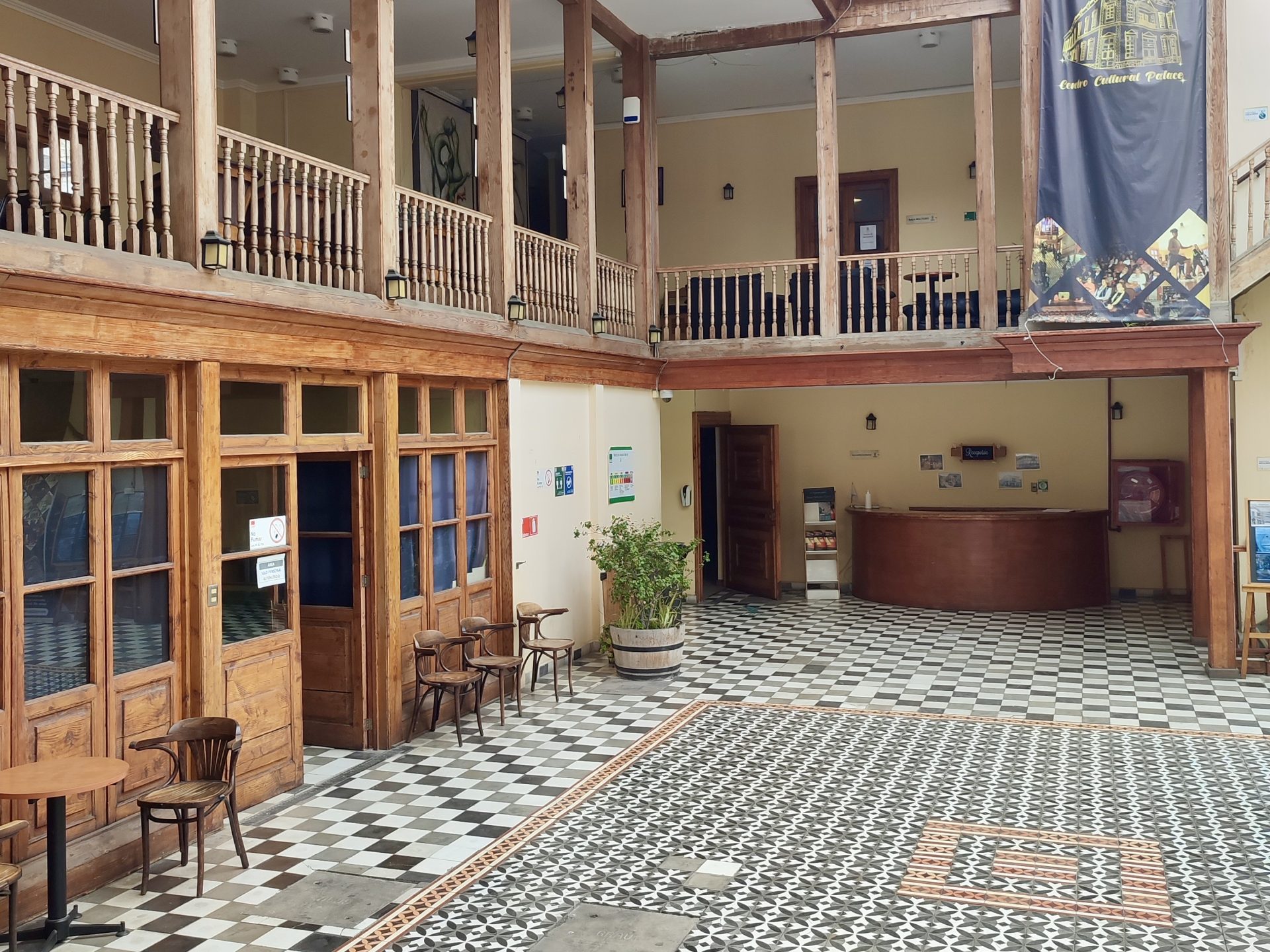 Ruta del Carpintero inglés en Coquimbo