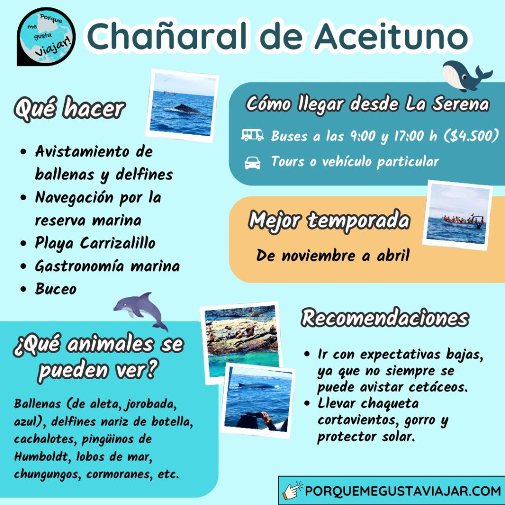 Guía rápida Chañaral de Aceituno, Chile.