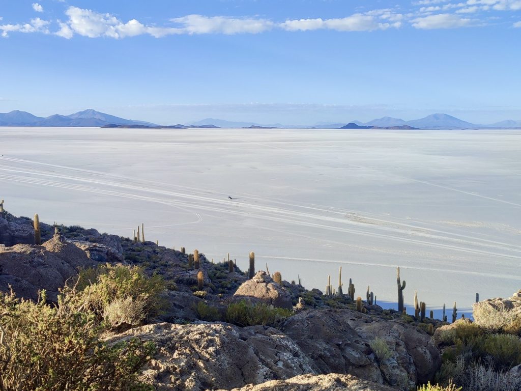 Salar de Uyuni desde Isla Incahuasi.