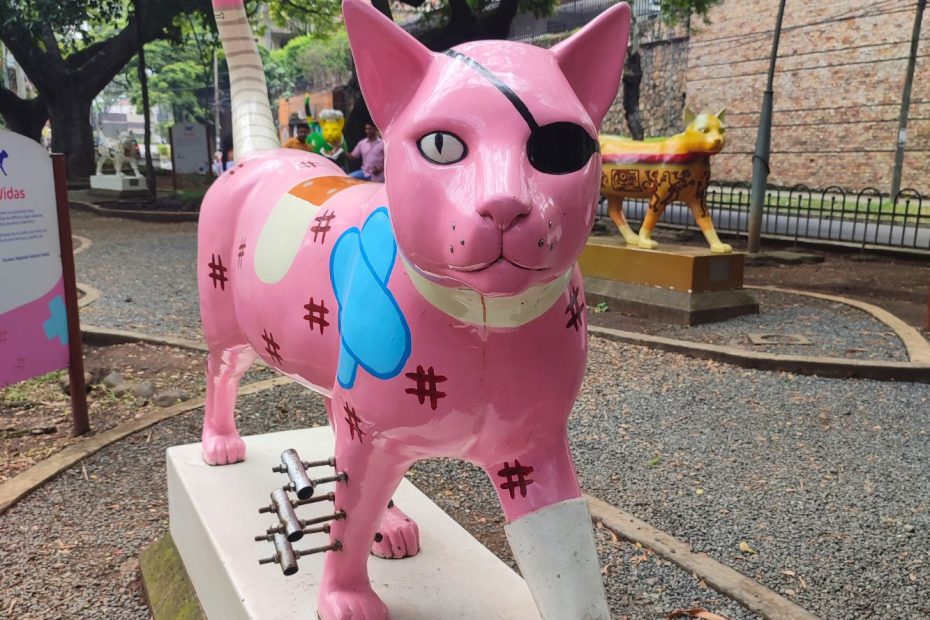 Parque de las Novias del Gato, atractivos en Cali, Colombia.