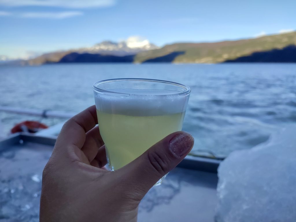 Pisco sour en el DsifrutLago Grey.