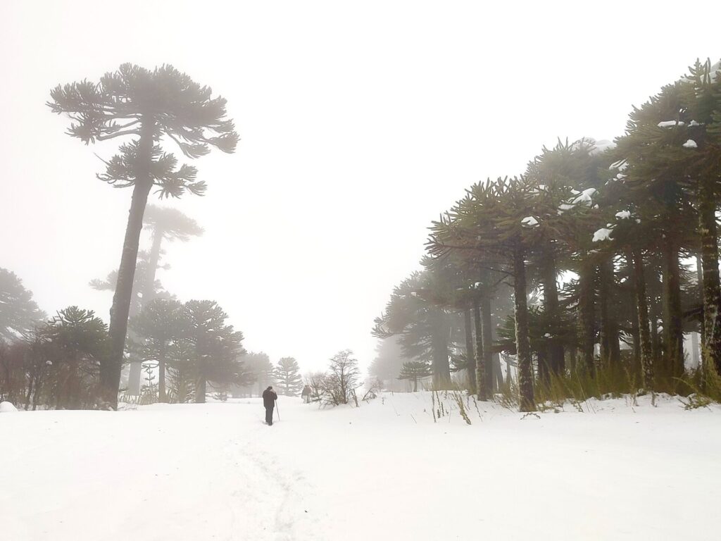 Consejos Malalcahuello en invierno.