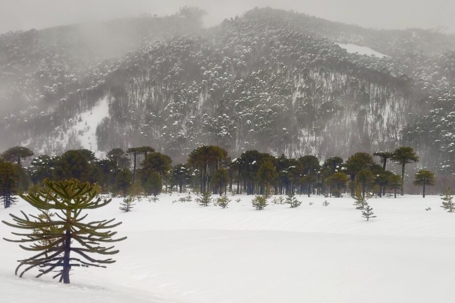 Malalcahuello en invierno Araucanía.