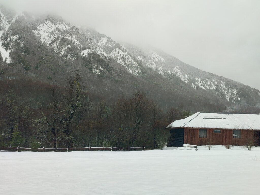 Parque Amavida Malalcahuello.