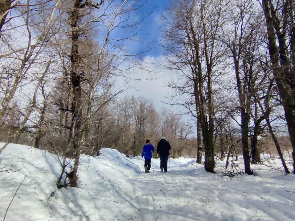Agreste Lonquimay Chile.