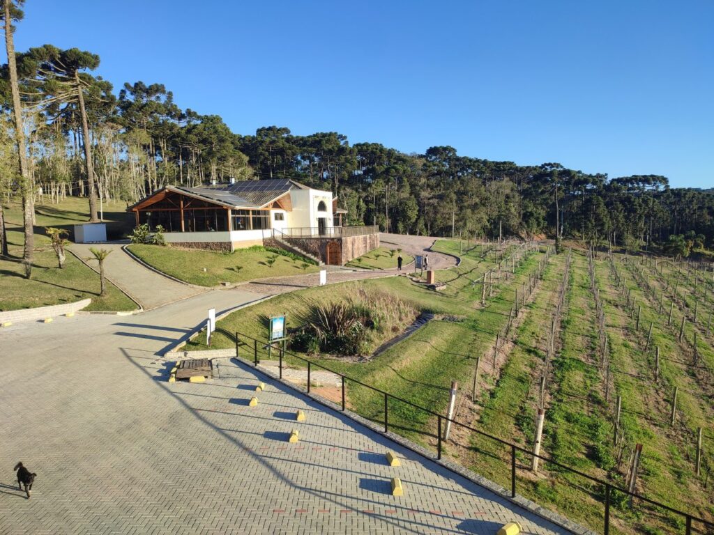 Viña Araucaria, Sao Jose dos Pinhais, Brasil.