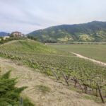 Escapada a Colchagua desde Santiago.