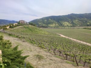 Escapada al Valle de Colchagua desde Santiago: qué hacer en 2 días