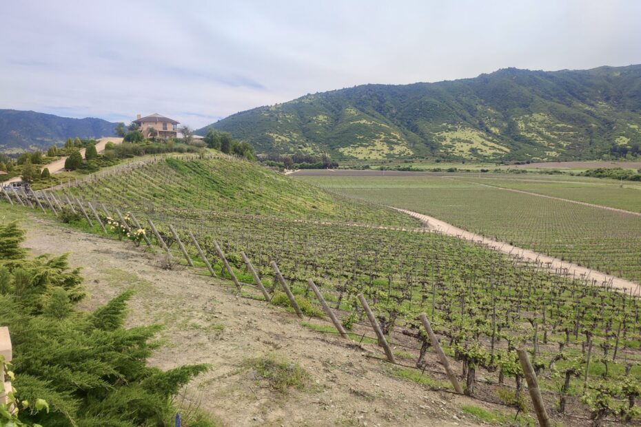 Escapada a Colchagua desde Santiago.