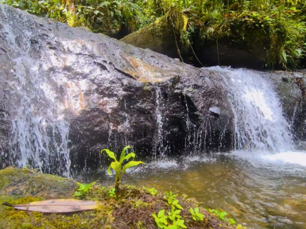 Reserva Natural Monteloro.