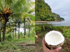 Guía para viajar a Tumaco, la perla del Pacífico colombiano
