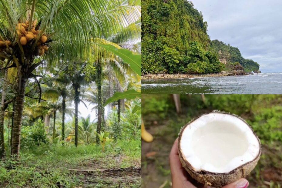 Ruta del Coco Tumaco