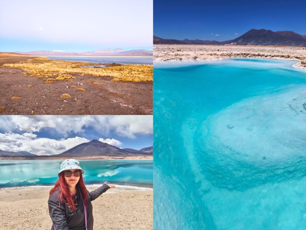 Ruta por el altiplano de Atacama.