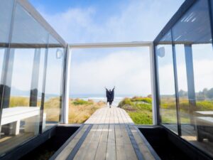 Costa Viva: el destino costero que está marcando tendencia este verano en la Región de O’Higgins