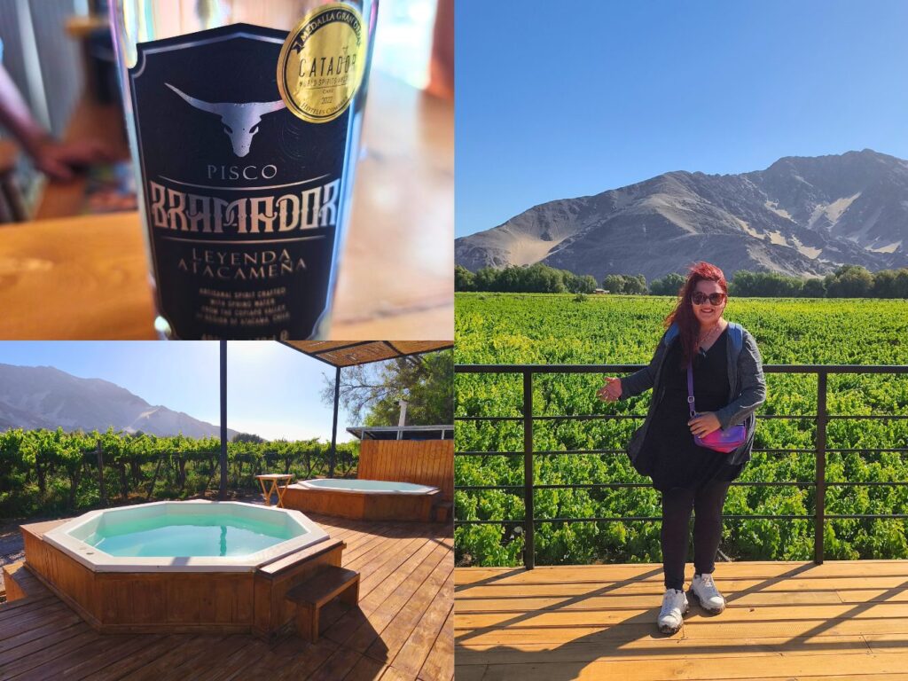 Viña Bramador, Copiapó.