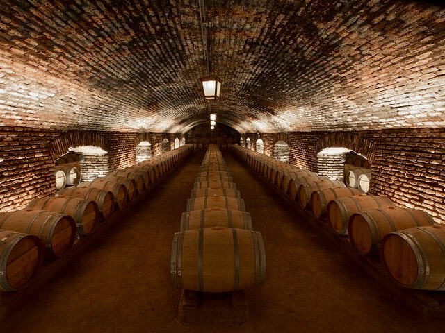 Bodega de la Viña Concha y Toro.