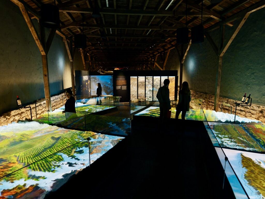 Experiencia enoturística en Viña Concha y Toro.